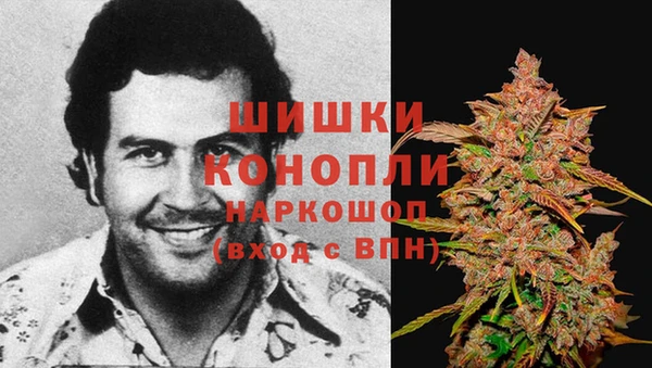 2c-b Богородицк