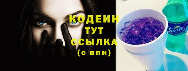 PSILOCYBIN Богданович