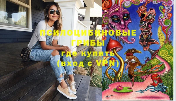 2c-b Богородицк