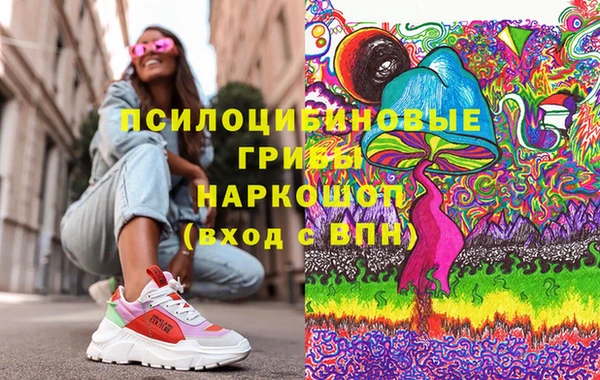 PSILOCYBIN Богданович