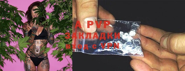 PSILOCYBIN Богданович
