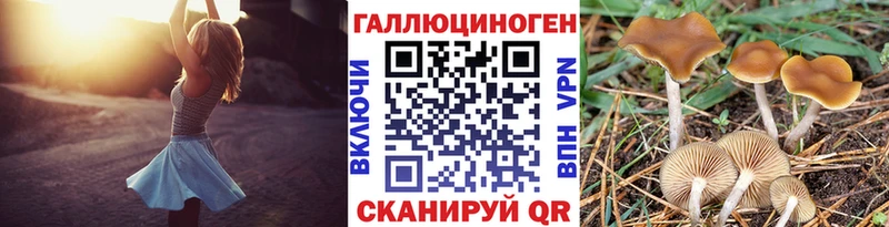 hydra онион  Нижний Тагил  Псилоцибиновые грибы Psilocybe 