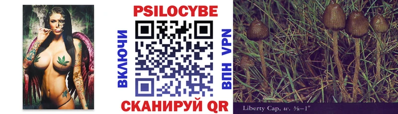 Псилоцибиновые грибы мицелий Нижний Тагил