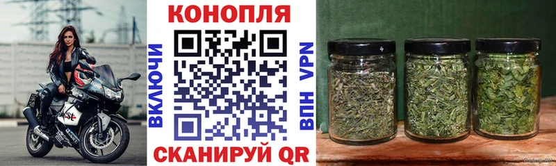 Бошки марихуана OG Kush  магазин  наркотиков  Нижний Тагил 